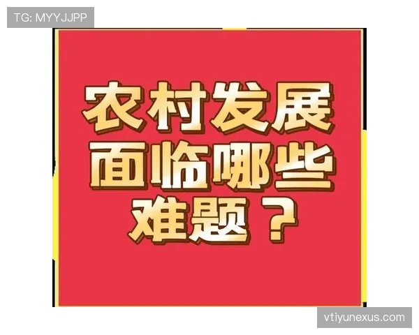 主裁判到底管什么？一文说清场上最高权威的判罚边界